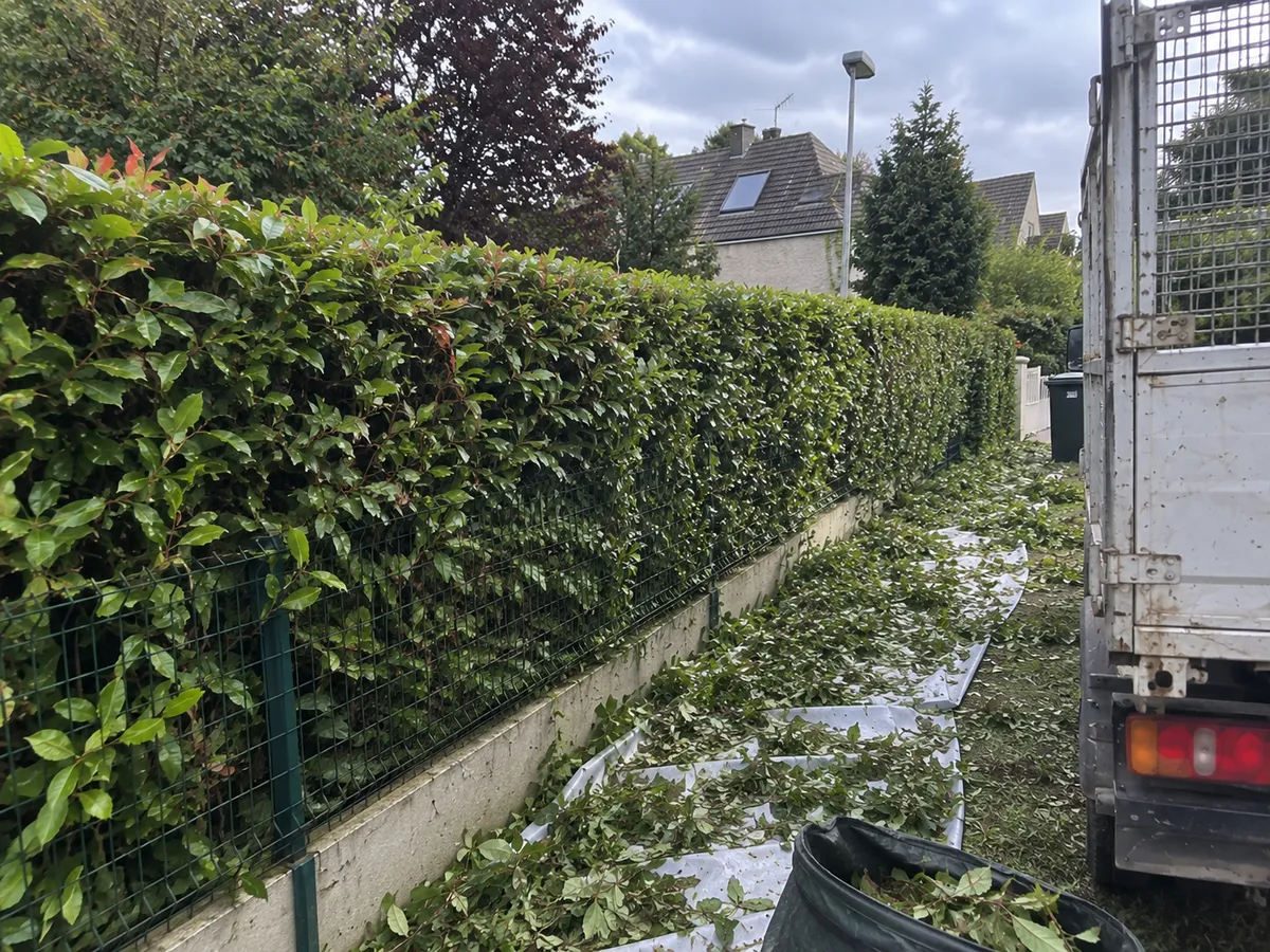 Taille d'arbres à Lens (62) — prestation